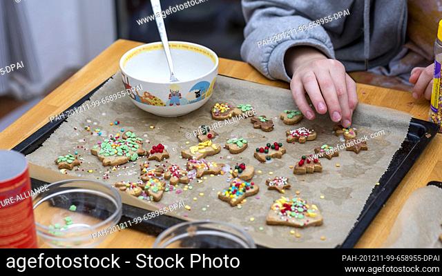 10 December 2020, Saxony-Anhalt, Magdeburg: A girl decorating Christmas cookies. Photo: Stephan Schulz/dpa-Zentralbild/ZB