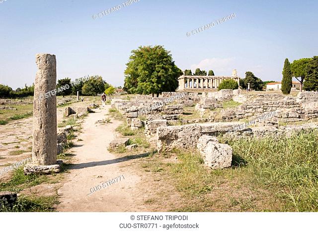 Temple of Athena, Paestum archeological area, UNESCO, World Heritage Site, province of Salerno, Campania, Italy, Europe