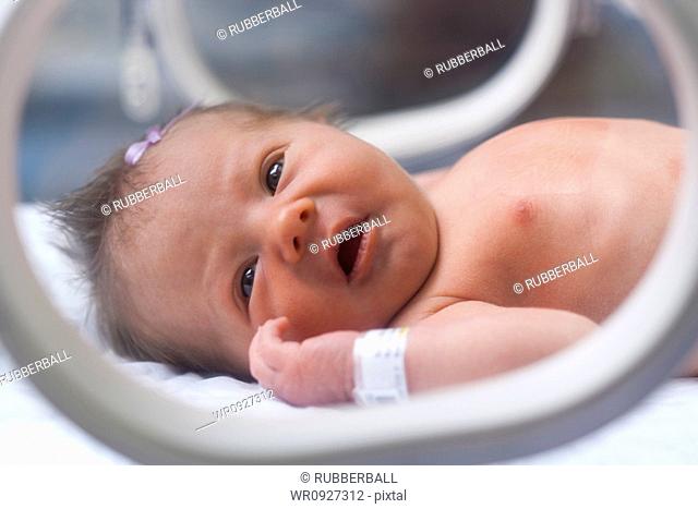 Newborn girl in incubator