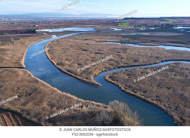 Utxesa Nature Reserve Wetland, Baix Segre, Lleida, Catalonia, Spain, Europe