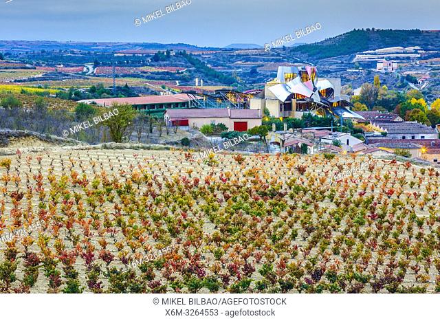 Marques de Riscal vineyards, Hotel and wine cellar. Elciego village. Rioja alavesa county. Alava, Basque Country, Spain, Europe