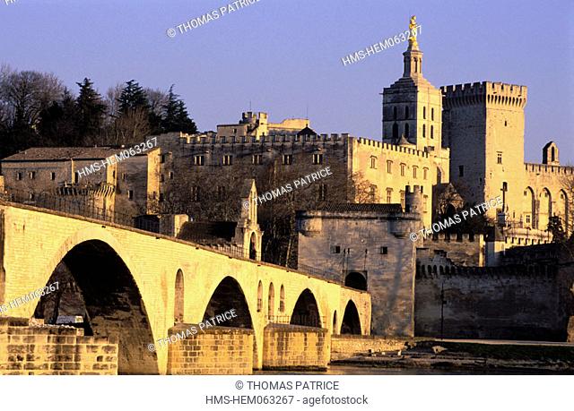 France, Vaucluse (84), Avignon, Benezet bridge and Pope Palace