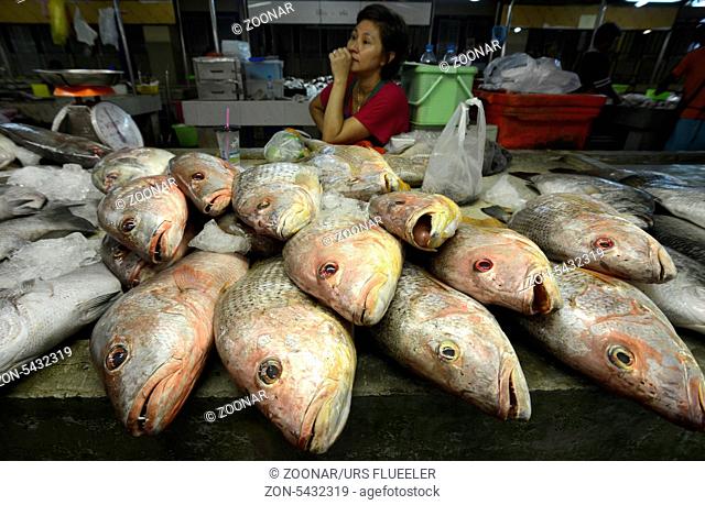 Frischer Fisch auf dem Day Markt in der Hauptstadt Phuket Town auf der Insel Phuket im sueden von Thailand in Suedostasien