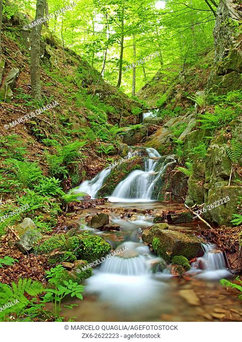 Marianegre stream. Spring time at Montseny Natural Park. Barcelona province, Catalonia, Spain