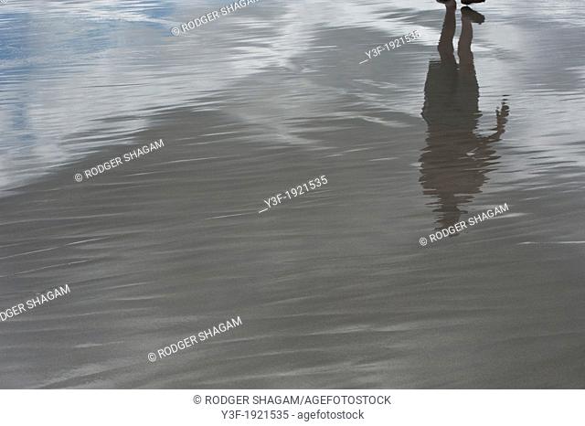 The reflection of a man walking on the exposed mudflats at low tide