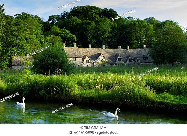 Swans on River Coln by Arlington Row cottages traditional almshouses in Bibury, Gloucestershire, The Cotswolds, UK