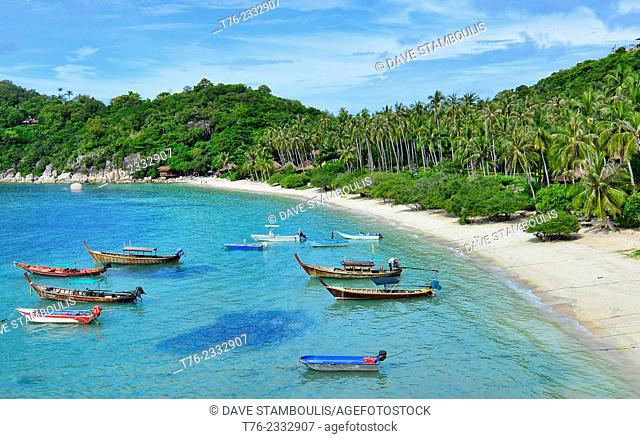 longtail boats at Haad Tien Beach, Koh Tao, Thailand
