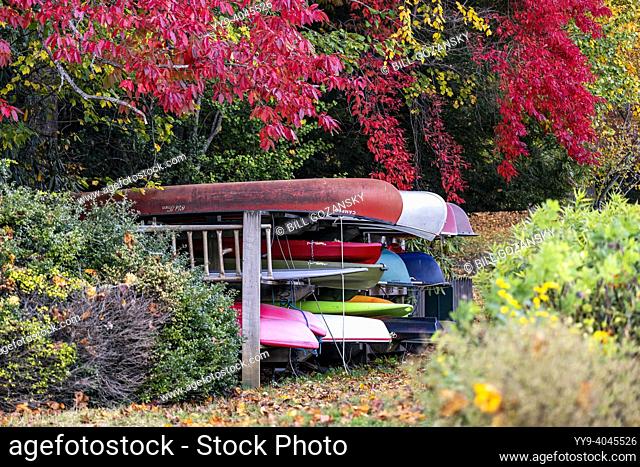 Colorful canoes and kayaks surrounded by vibrant fall foliage - Brevard, North Carolina, USA