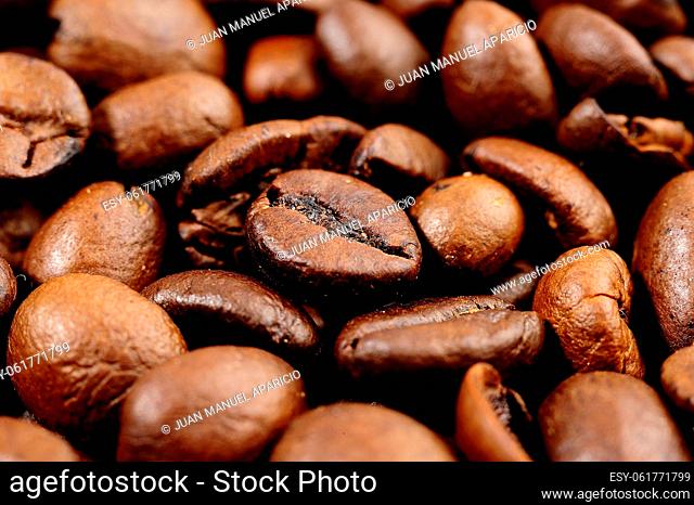Pile of coffee beans roasted photographed close-up