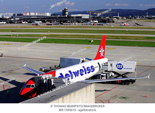 Airbus 320 from Edelweiss Air, Dock Midfield, Zurich Airport, Switzerland, Europe