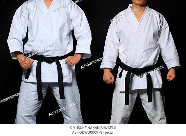 Japanese karate masters