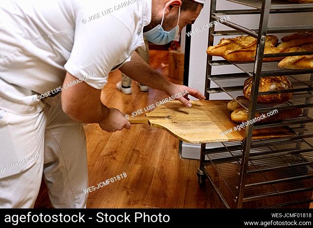 Male baker keeping bread loaf on rack with pizza peel in commercial kitchen at bakery