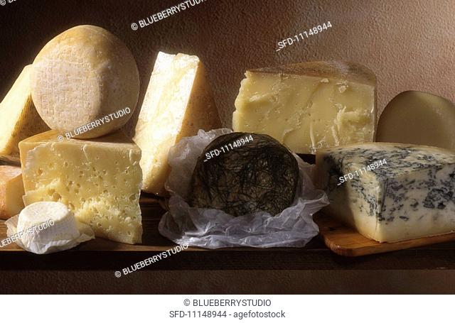 A still life of hard cheeses