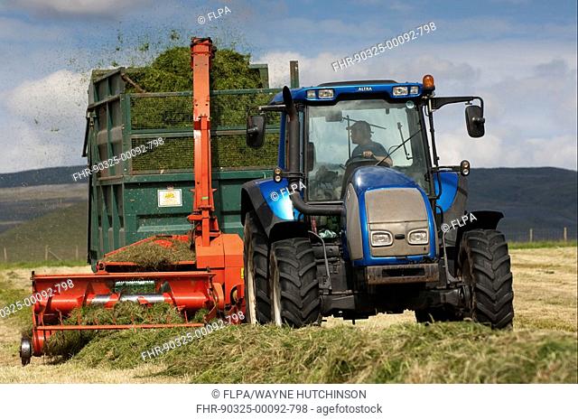 Valtra tractor pulling Kverneland forage harvester and trailer, making silage for livestock, Cumbria, England, summer
