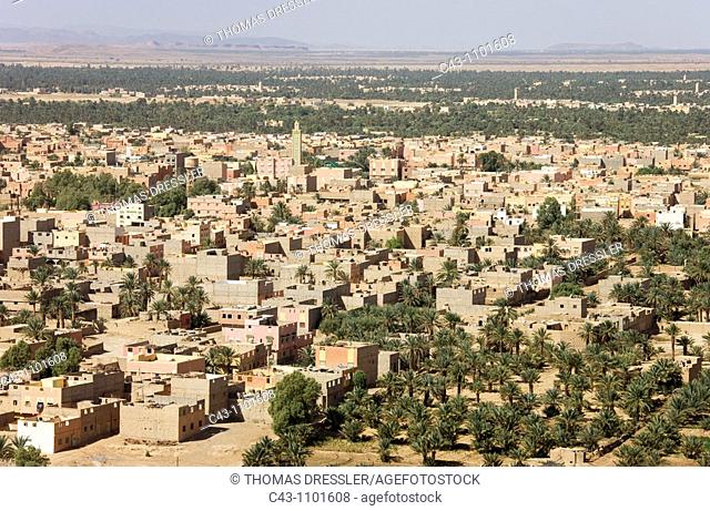 Morocco - The town of Erfoud with its extensive palmeries is situated in the Tafilalt at the edge of the desert  Southeast Morocco