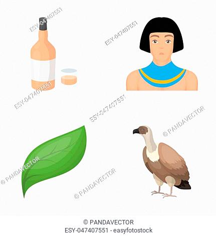 alcohol, ecology and other icon in cartoon style.history, animal icons in set collection