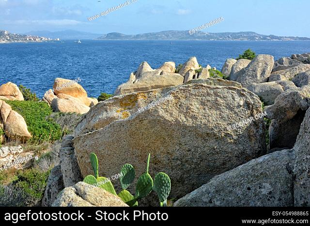 Felsen und Steine mit Kakteen an der nördlichen Küste der Insel Sardinien im Mittelmeer oberhalb von Porto Rafael