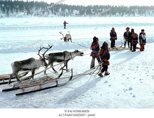 Finland, Saami with sleds and reindeer in snow