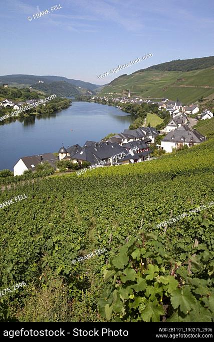 Germany; Rhineland-Palatinate; Mosel Valley; View of Zell-Merl Village & Mosel from Vinyards