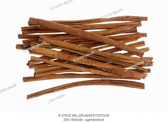 clip image - cinnamon sticks - Cinnamomum cassia