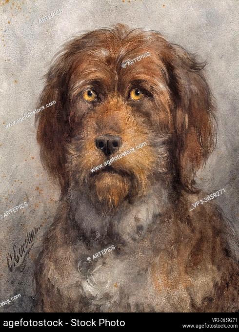 Eerelman Otto - Dog from the Le Fevre De Montigny Family - Dutch School - 19th Century