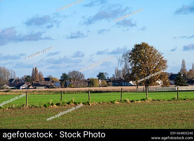 Green and brown agriculture fields around Saint Brixius Rode, Flemish Brabant Region, Belgium