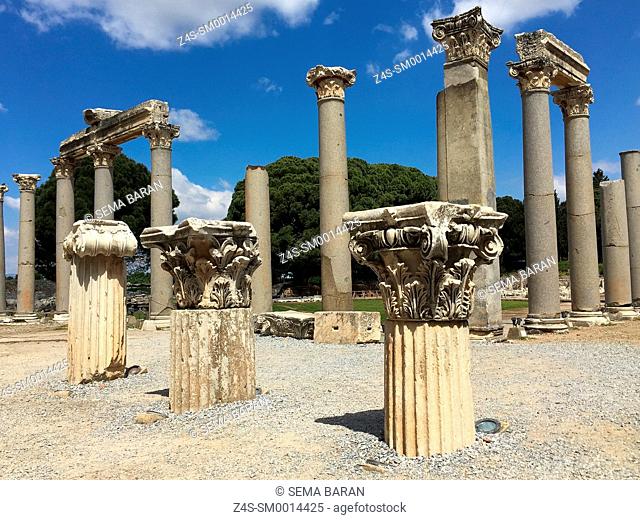 Corinthian and Ionic columns of South gate Agora in the Greek and Roman ruins Ephesus, Efes, Selcuk, Kusadasi, Turkey, Europe