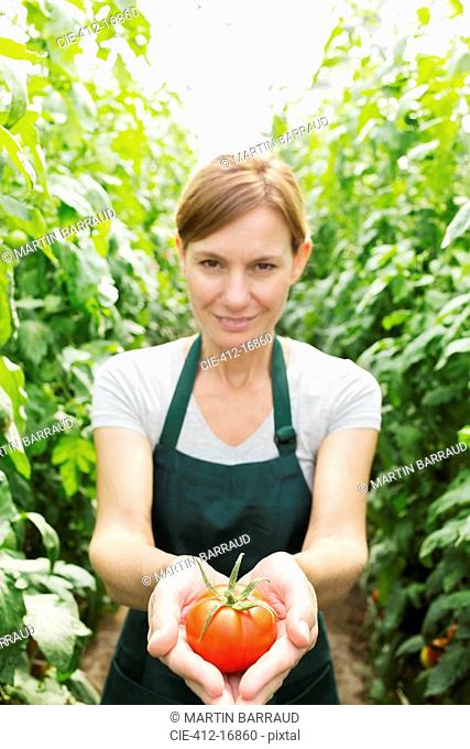 Portrait of woman holding ripe tomato in greenhouse
