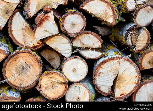 Stack of logs. Stack of firewood close up. Logs cuts prepared for fireplace. Woodpile. Wood for fireplace. Wood for winter. Firewood background