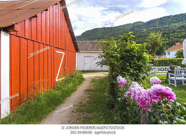 pathway with garden, Solvorn, Norway, lane with shed and roses