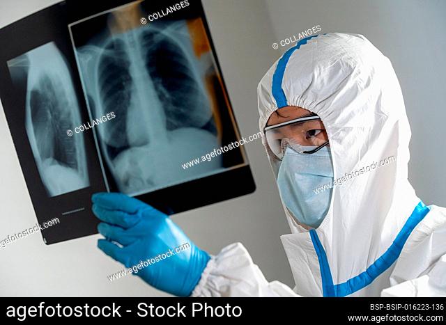 Doctor in a Covid ward of a hospital examining x-rays of the lungs