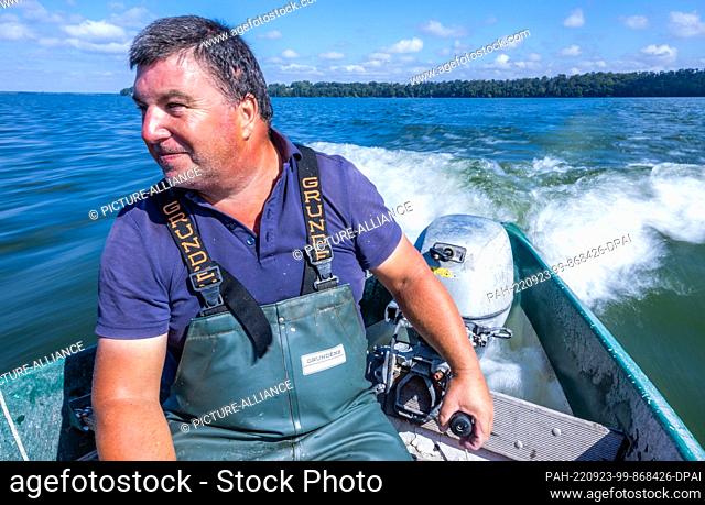 PRODUCTION - 25 August 2022, Mecklenburg-Western Pomerania, Schwerin: Fisherman Andreas Kühl is out on his boat on Lake Schwerin emptying the gillnets and fish...