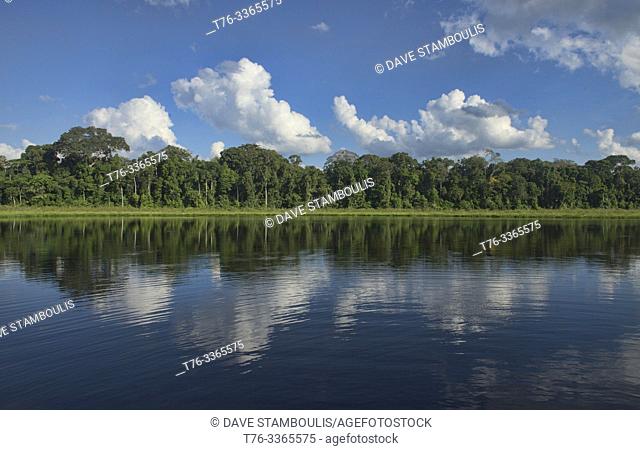 Cloud reflections on gorgeous Lake Chimbadas, Tambopata River, Peruvian Amazon