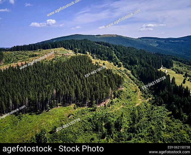 Aerial view of the mountain dirt road and forest in spring, Carpathian mountains, Ukraine, Colorful landscape with hills with green grass and trees