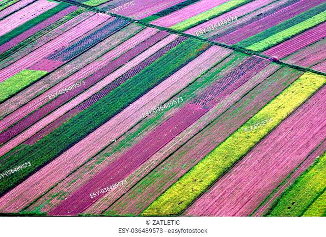 Abstract landscape, Aerial view of colorful fields