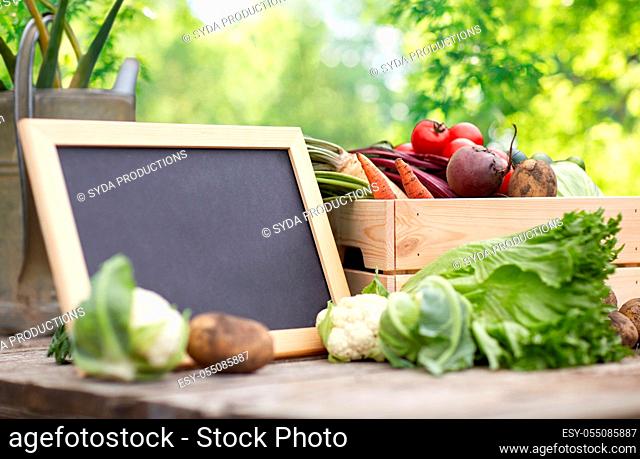 close up of vegetables with chalkboard on farm