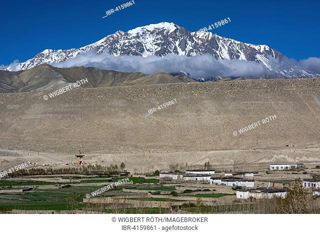 Small fields, surrounded by a stone wall and houses in the village of Tsarang against snowy mountains, former Kingdom of Mustang, Nepal