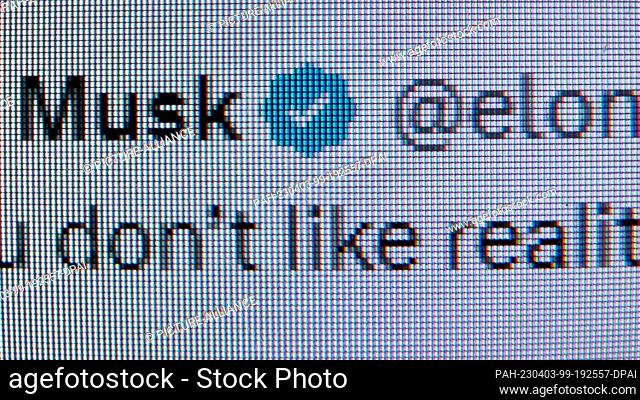 ILLUSTRATION - 02 April 2023, Lower Saxony, Brunswick: A blue checkmark verifies E. Musk's Twitter account as genuine. Twitter has further devalued the...