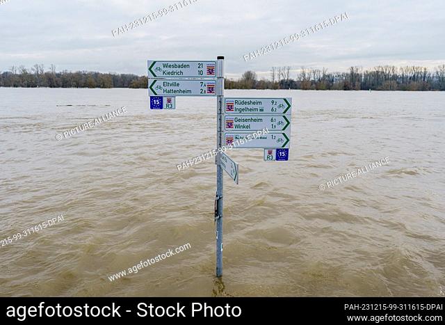 15 December 2023, Hesse, Oestrich-Winkel: The cycle path with signage on the banks of the Rhine in the district of Mittelheim (Oestrich-Winkel) is completely...
