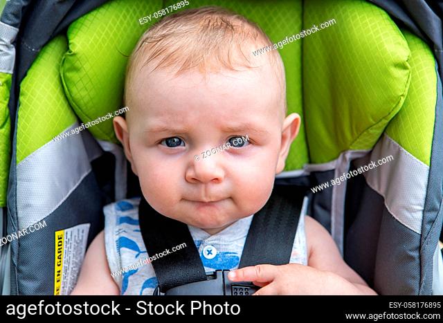 Portrait of little infant baby boy sitting in modern pram while biting lips and seatbelt tied for safety in outdoor park