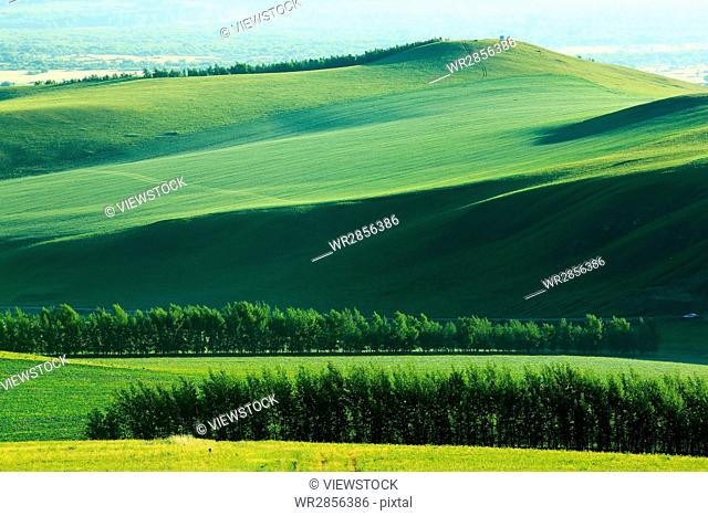 Hulun Buir Grassland scenery in Inner Mongolia