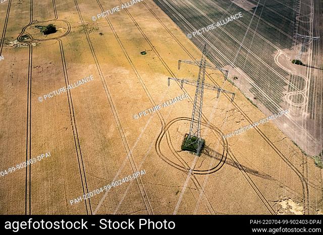 04 July 2022, Saxony, Rötha: High-voltage lines run across two fields near Rötha. Heat and drought are hitting Saxony's farmers again this year