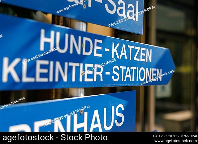 PRODUCTION - 11 September 2023, Bavaria, Nuremberg: ""Dogs - Cats - Small Animal Stations"" is written on a sign at the entrance to the Nuremberg Animal Shelter