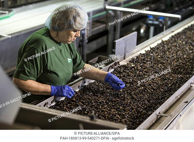 FILED - 23 July 2018, Spain, La Roda de Andalucia: A woman works in the production of olives in southern Spain. The US Department of Commerce has had...