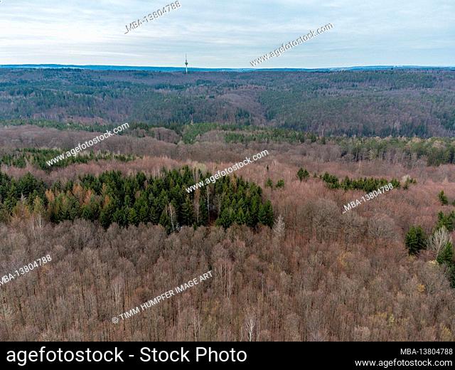 Europe, Germany, Baden-Wuerttemberg, Schönbuch region, aerial view of the forest landscape around the Schaichtal