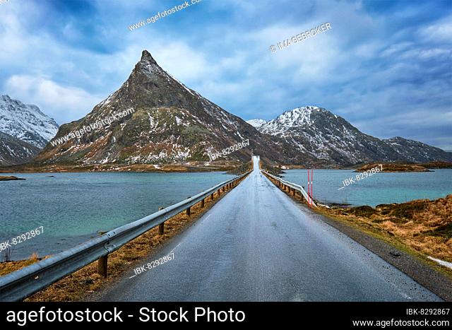 Road in Norwegian fjord. Lofoten islands, Norway, Europe