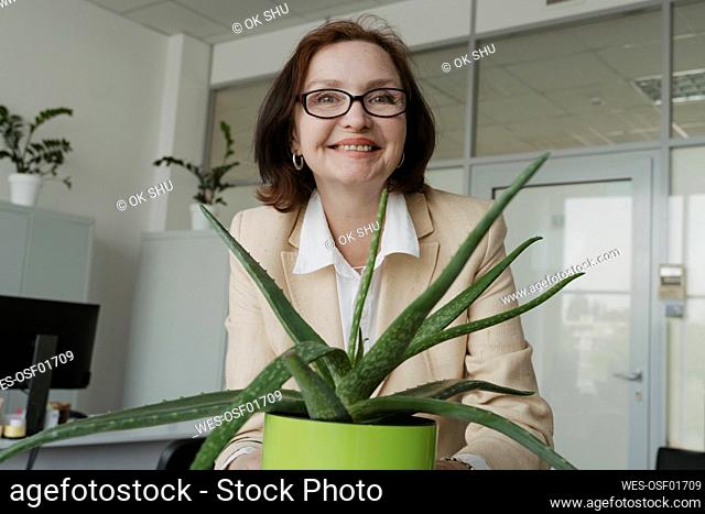 Smiling senior businesswoman holding aloe vera plant in office