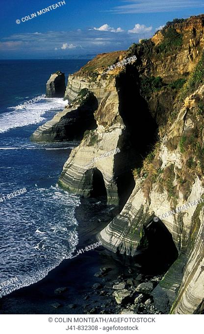 Wave sculpted sandstone cliffs near Whitecliffs Walkway tongaporutu north Taranaki New Zealand