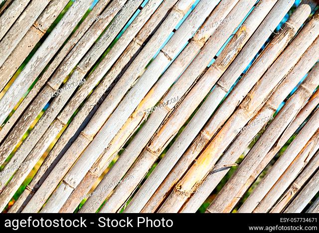 background   texture bamboo wood and plant in the abstract