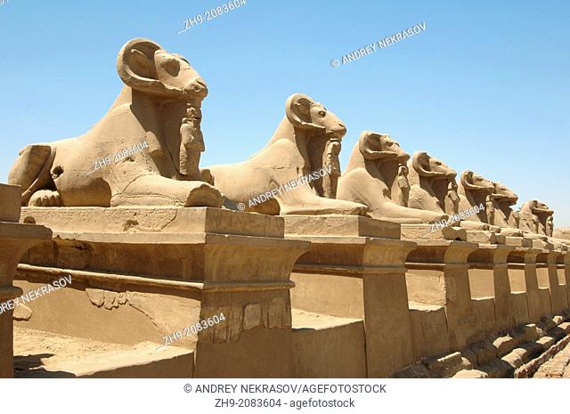 Karnak Temple Complex, Luxor (Thebes), Egypt, Africa